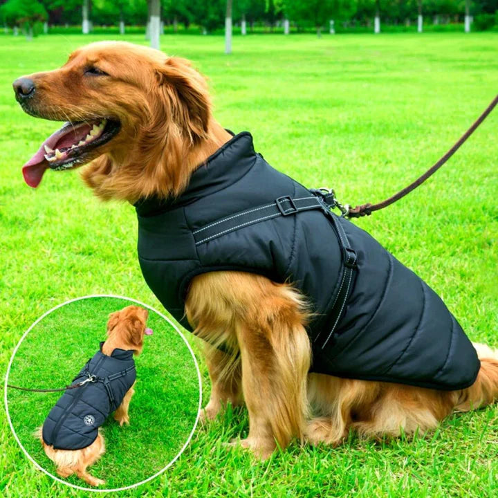 All-Weather Insulated Jacket with Convenient Built-In Harness