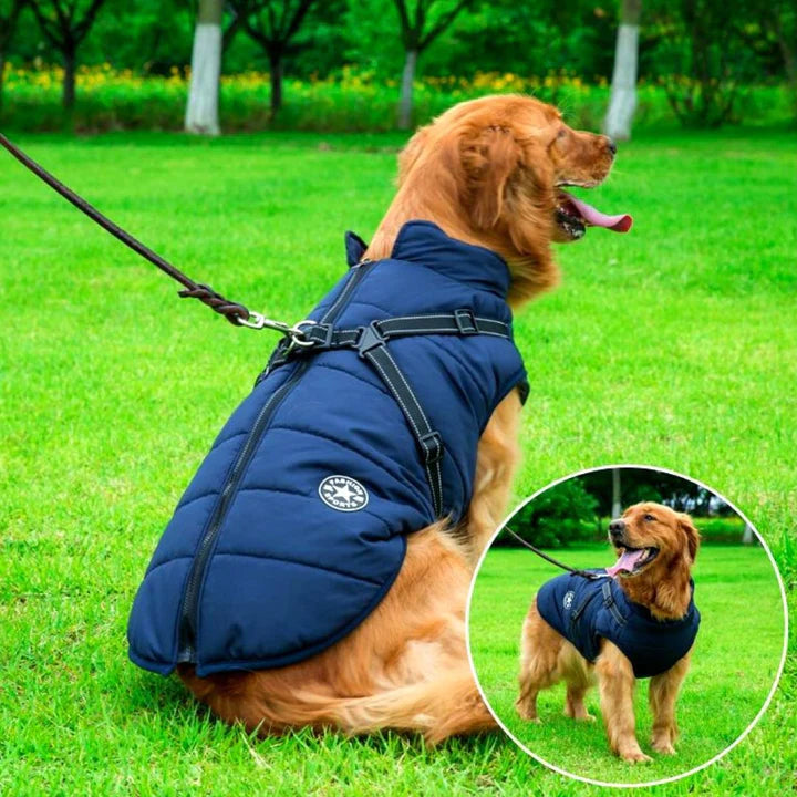 All-Weather Insulated Jacket with Convenient Built-In Harness