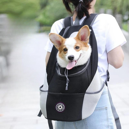 BarkBag: The Ultimate Pet Travel Companion